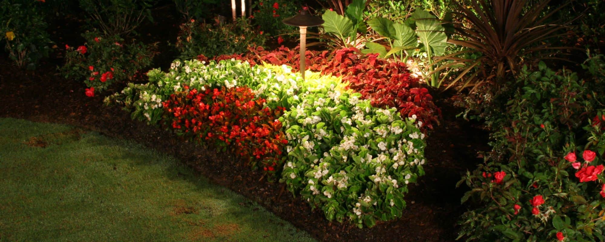 outdoor landscaping designs